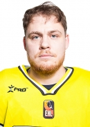 Mihails Vaitjuļevičs