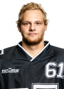 Verners Fricbergs
