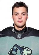 Andris Zalmanis