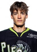 Rauls Petkēvičs