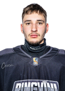 Gusts Jānis Petrovičs