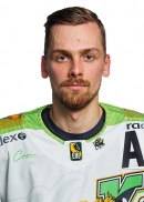 Andis Bleidelis