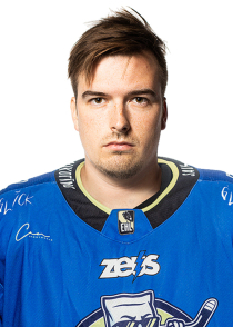 Robins Dedzis
