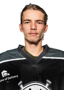 Artis Dmitrijevs