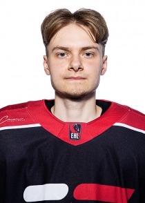 Dmitrijs Sankins
