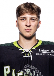 Daniels Liepiņš
