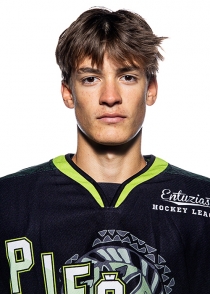 Rauls Petkēvičs