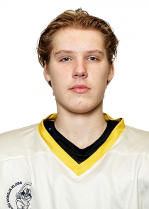 Aleksis Freidenfelds