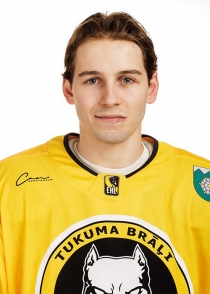 Rihards Mertens