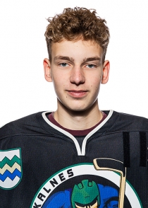 Ervils Vaitkus