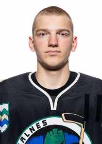 Martiņš Kokarēvičš