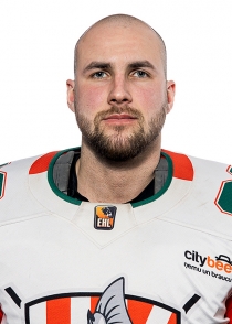 Eduards Austriņš