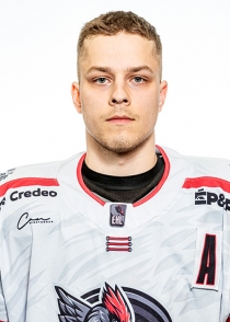 Gvido Miezis