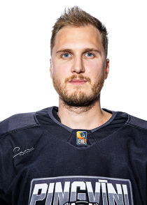 Artūrs Zariņš