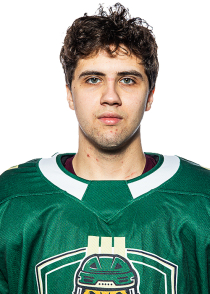 Vladislavs Gontars