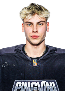 Emīls Mauriņš