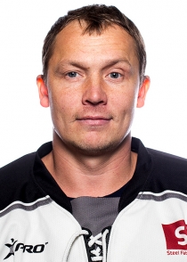 Valdis Džeriņš