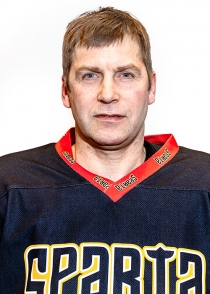 Vladimirs Fedins