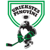 HK URIEKSTES PINGVĪNI logo