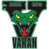 VARAN logo