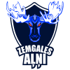 HK ZEMGALES AĻŅI logo