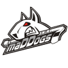 MAD DOGS logo