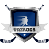 VAIROGS 2 logo