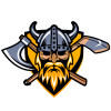 VIKINGI JR logo