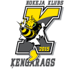 RADEX/ĶENGARAGS logo