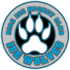 ICE WOLVES/CLUBZONE.LV logo